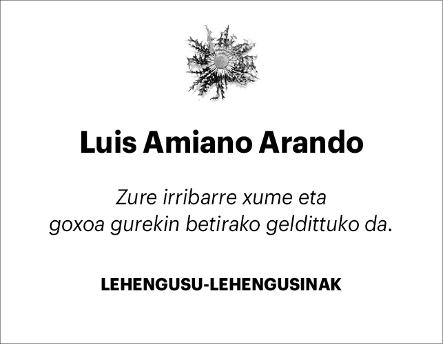 Luis Amiano Arando 2x2 (1)