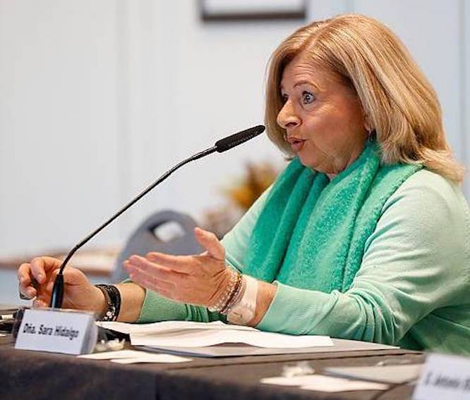 Consuelo Ordoñez, gaur, Donostian, Coviteren XVIII. jardunaldietan. JUAN HERRERO, EFE