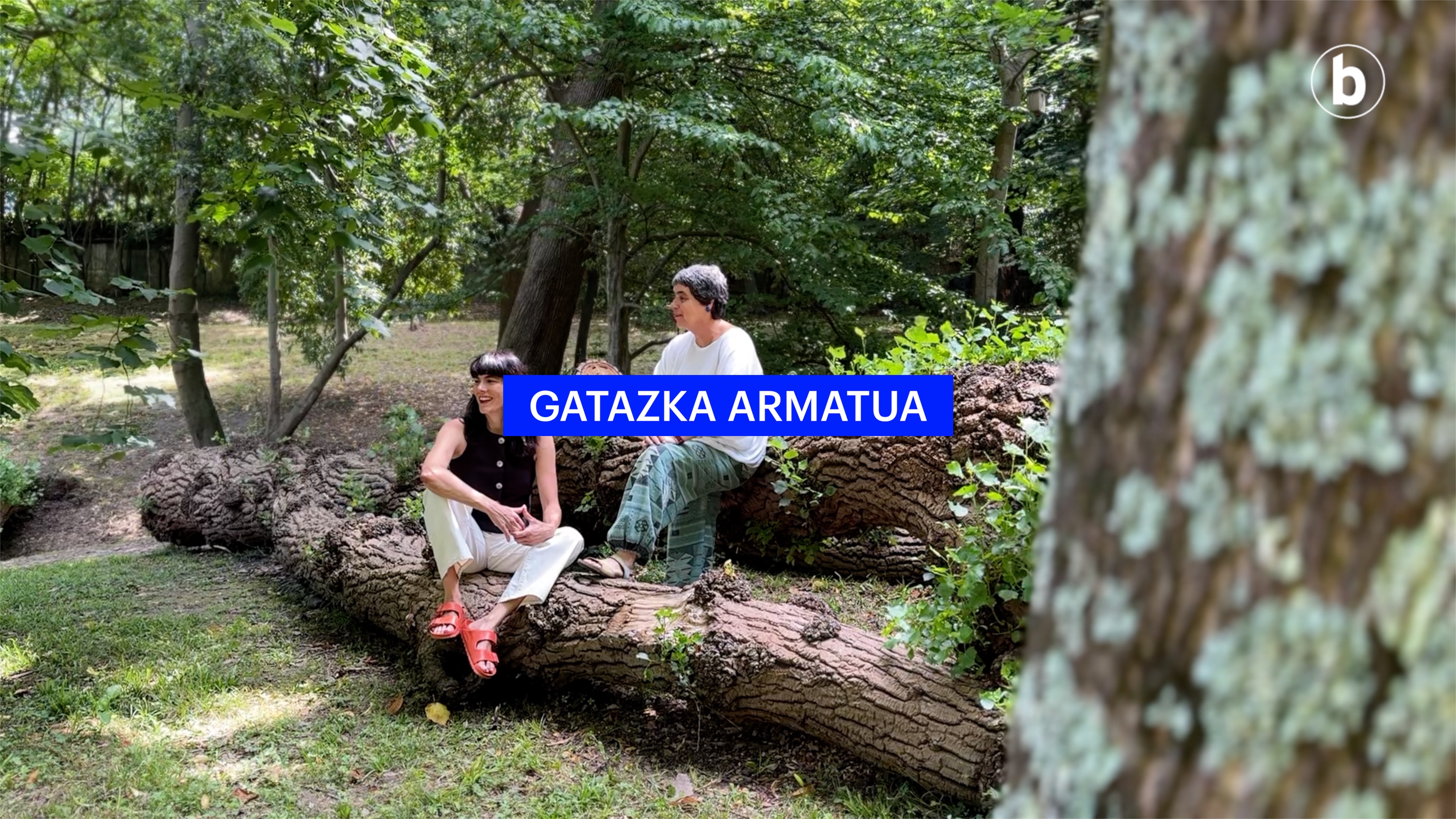 3 Gatazka armatua