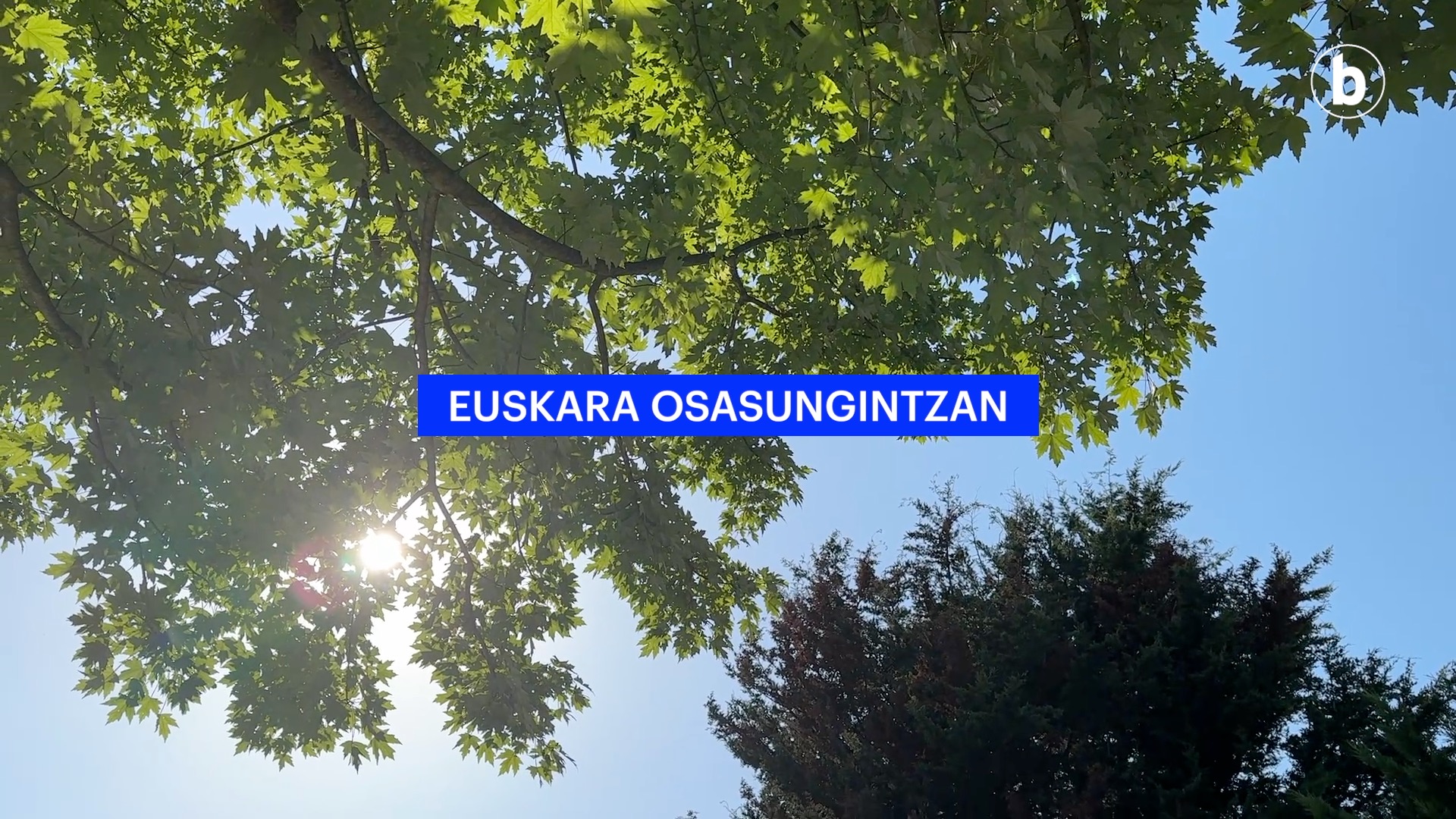 1) EUSKARA OSASUNGINTZAN