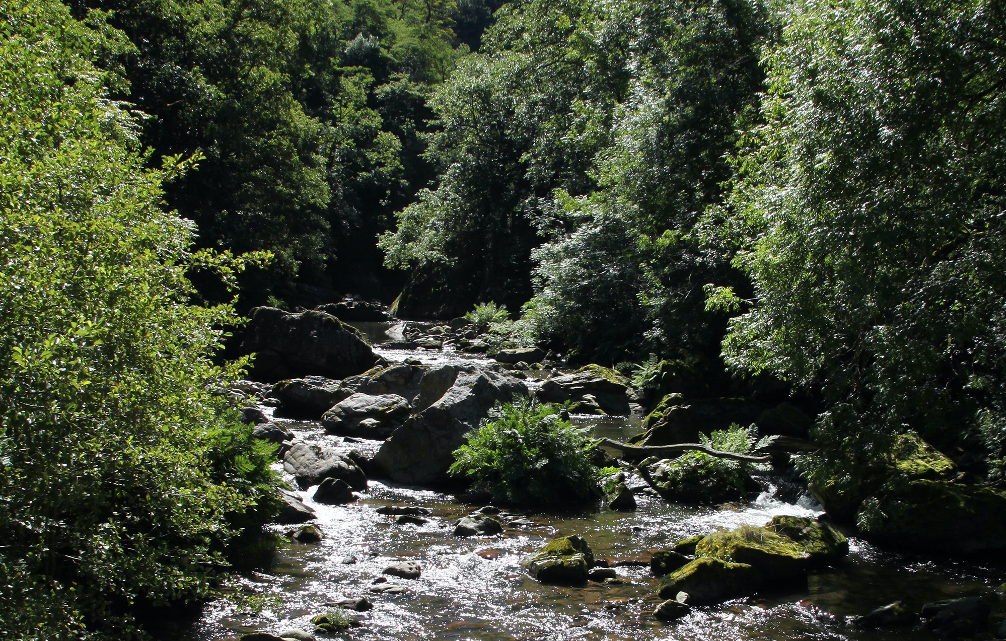 Leitzaran ibaia, Andoainen. ALBERTO PECHARROMAN FERRER / WIKIMEDIA COMMONS