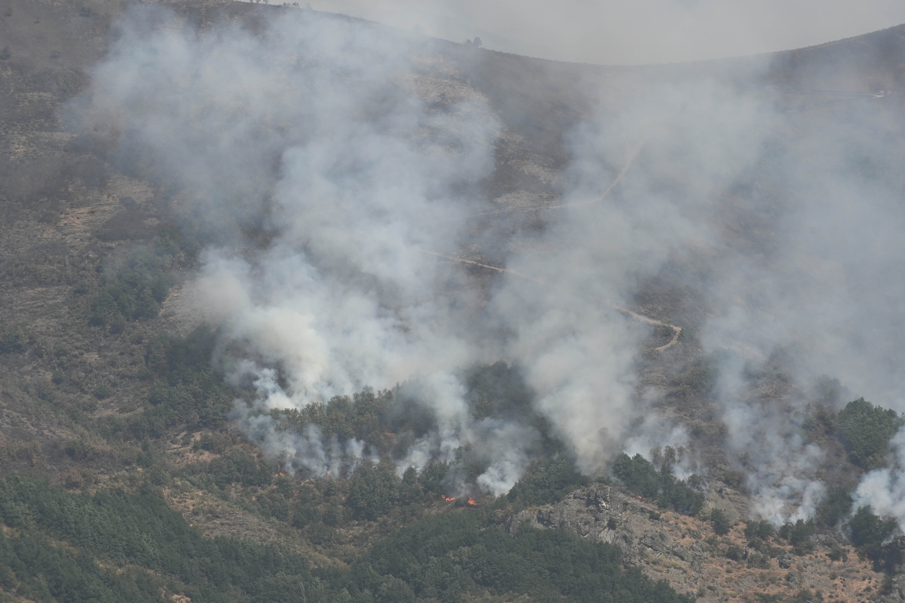 Leongo sutea goitik ikusita. CASARES / EFE