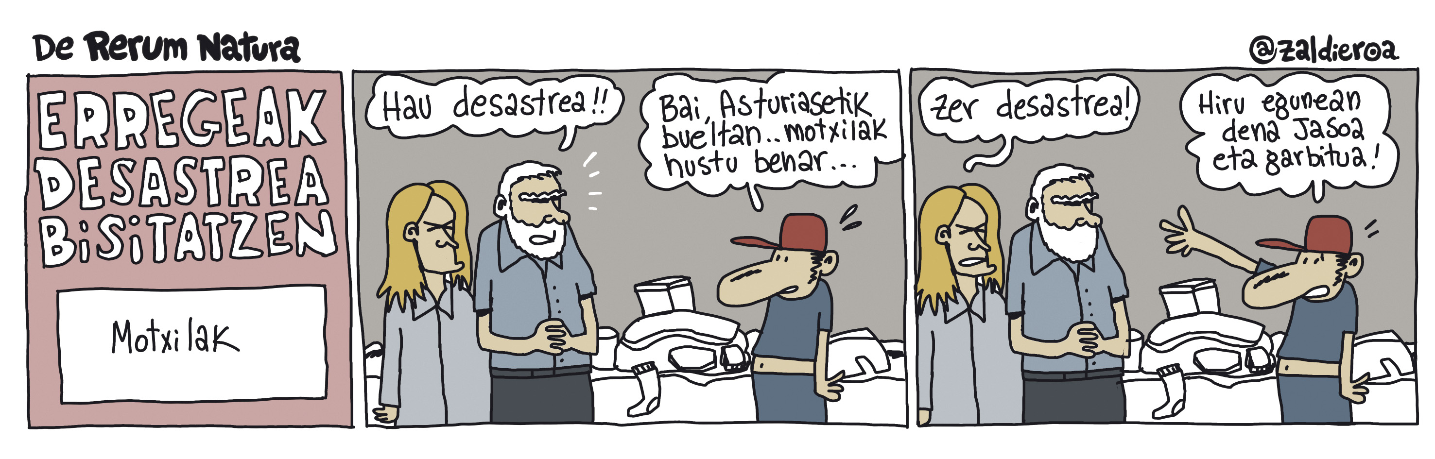 Zaldieroa