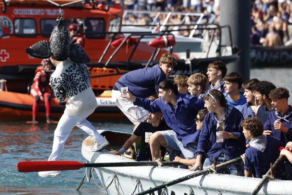 (ID_15288403) ESPAÑA DÍA GANSOS
