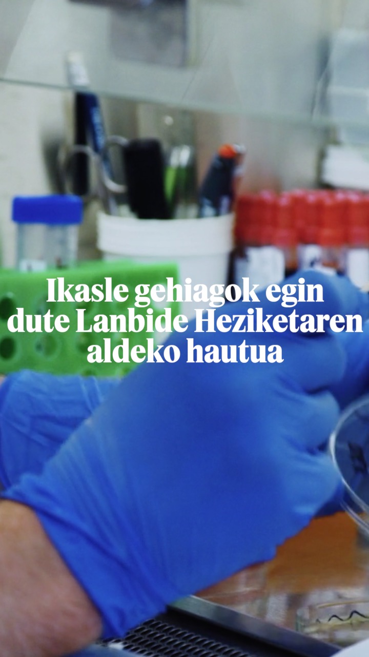 LANBIDE ZIKLO