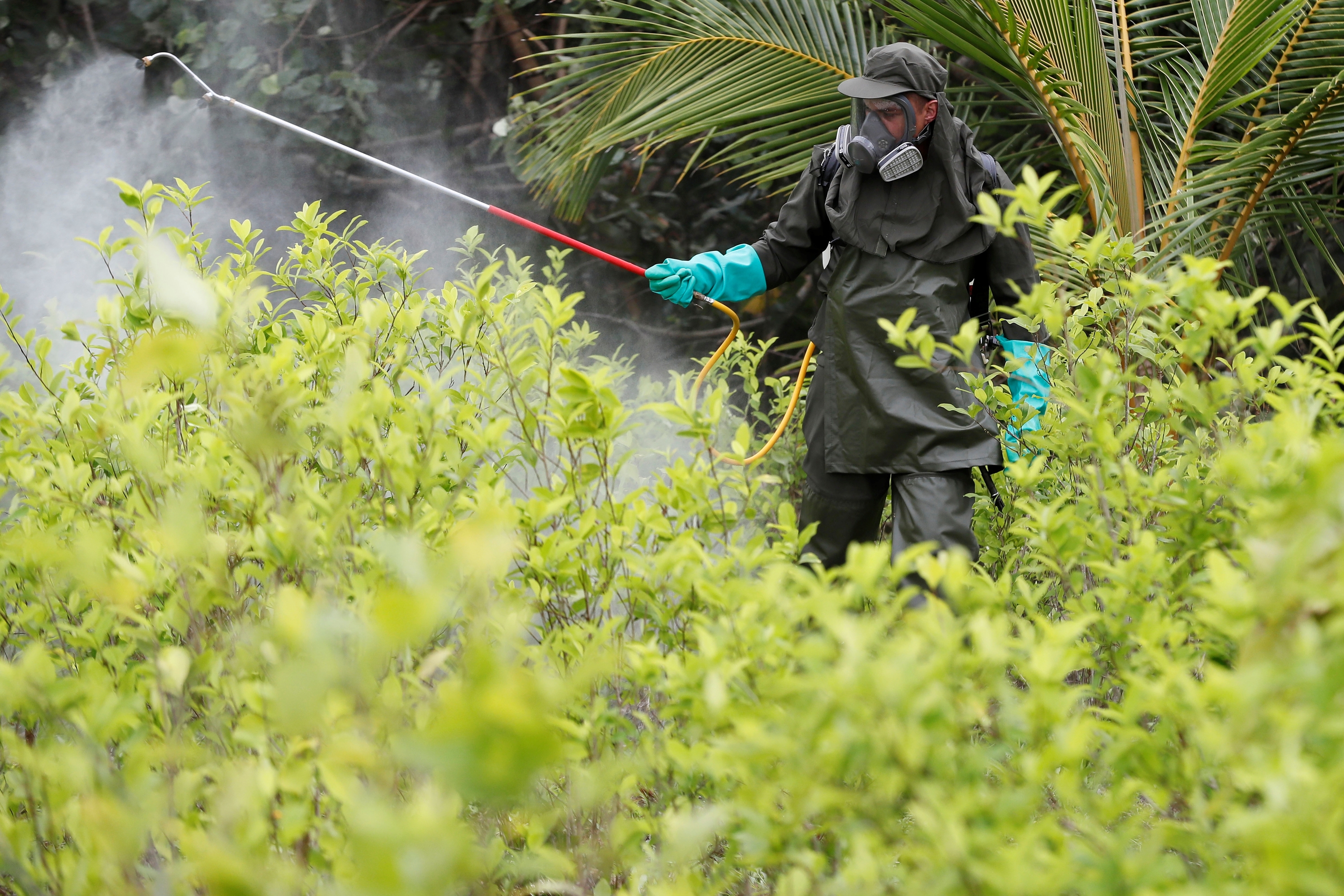 Kolonbiako Poliziaren agente bat koka plantazio bat fumigatzen Bogota inguruan, apirilean. CARLOS ORTEGA / EFE