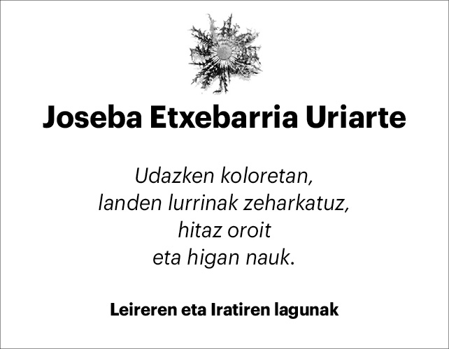 Joseba Etxebarria 2x2