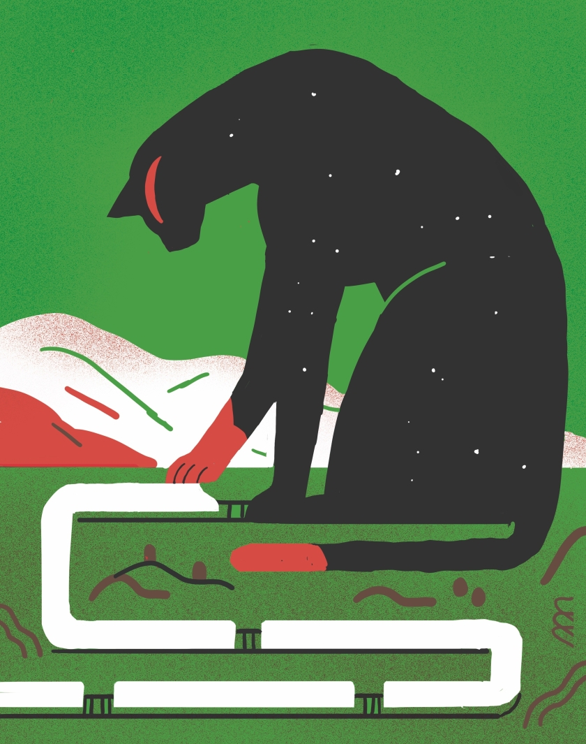 (ID_17588969973115) AINARA AZPIAZU ADURIZen ilustrazioa (ID_17588969973115) AINARA AZPIAZU ADURIZen ilustrazioa