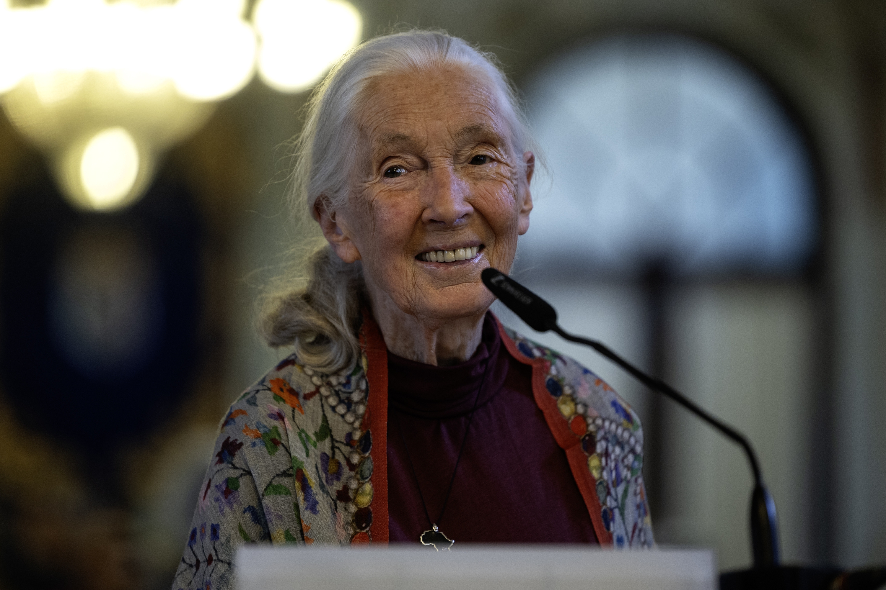 Jane Goodall primatologoa, maiatzean, Granadan, Espainian. JORGE ZAPATA / EFE