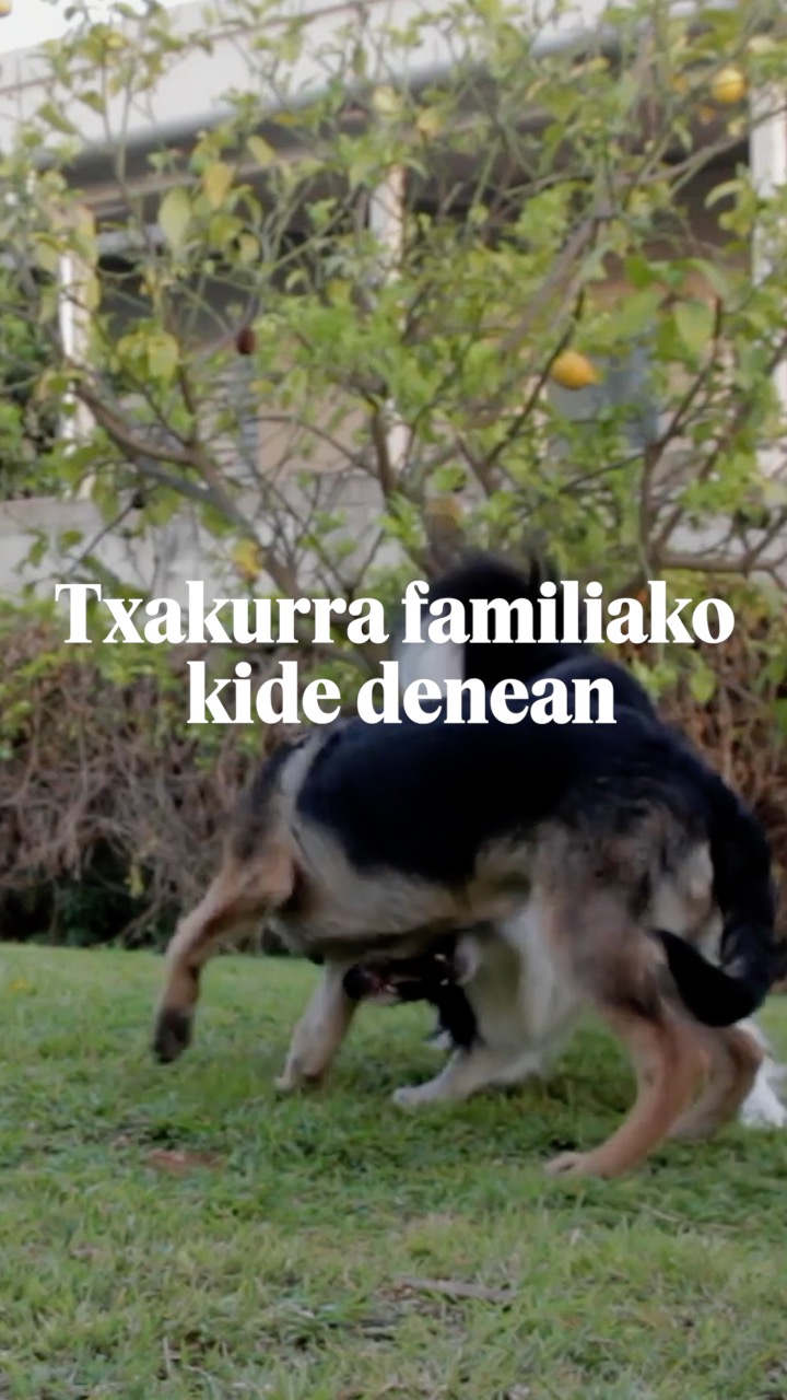 TXAKURRAK