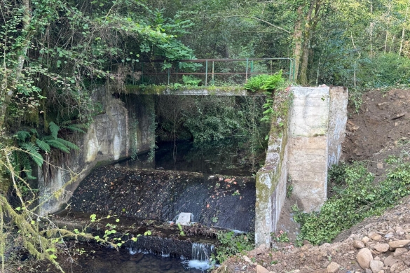 Busturiko Udala Altamira San Kristobal estacion de aforo a demoler 2025 Busturiko Udala Altamira San Kristobal estacion de aforo a demoler 2025