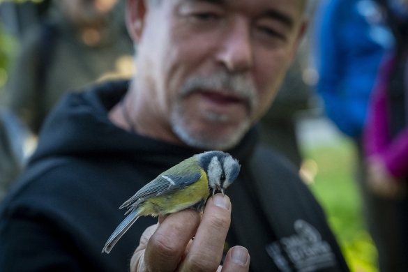 (ID_15429370) (Gorka Rubio/@FOKU) 2025-10-18, Gautegiz-Arteaga. Esperientzia Urdaibai Bird Centerren (ID_15429370) (Gorka Rubio/@FOKU) 2025-10-18, Gautegiz-Arteaga. Esperientzia Urdaibai Bird Centerren