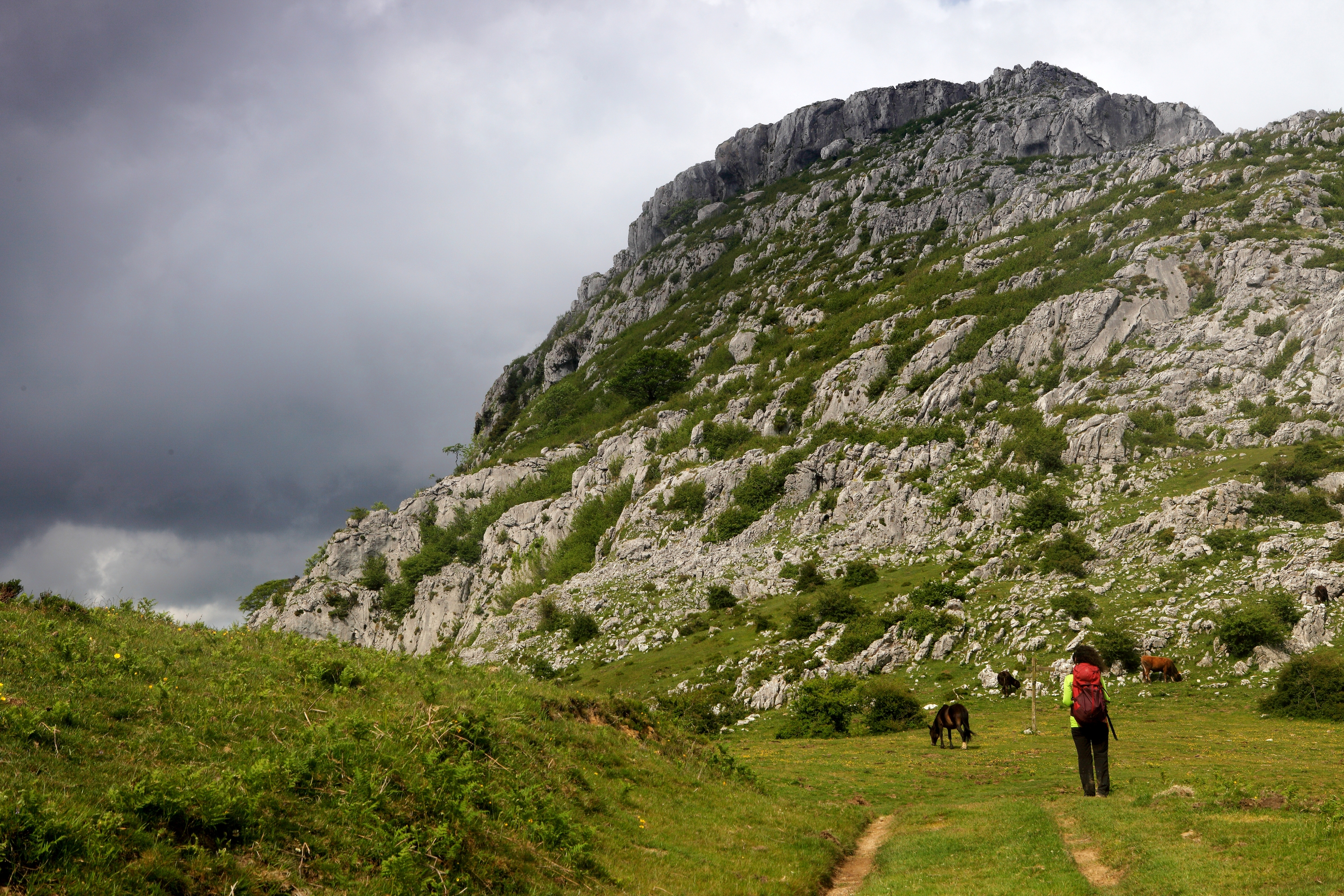 Jorrios mendiaren tontor harritsuaren oinarria