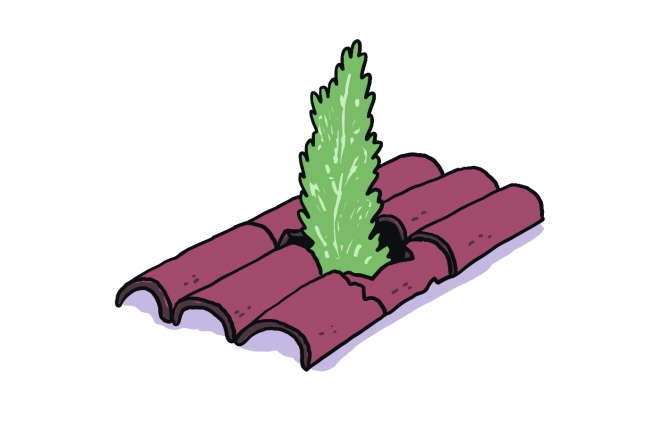 (ID_17616515625495) (/EZEZAGUNA) (ID_17616515625495) (/EZEZAGUNA)