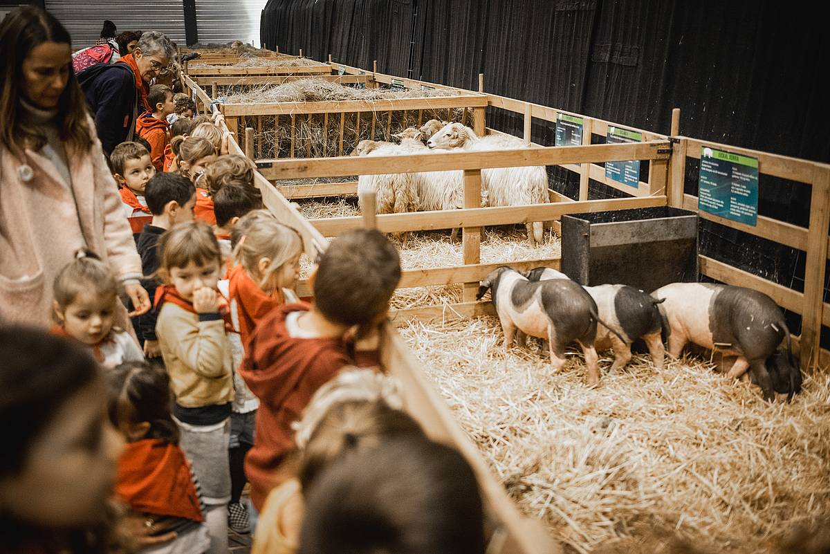 Haur zenbait Lurramako azokan, 2022an. Guillaume Fauveau