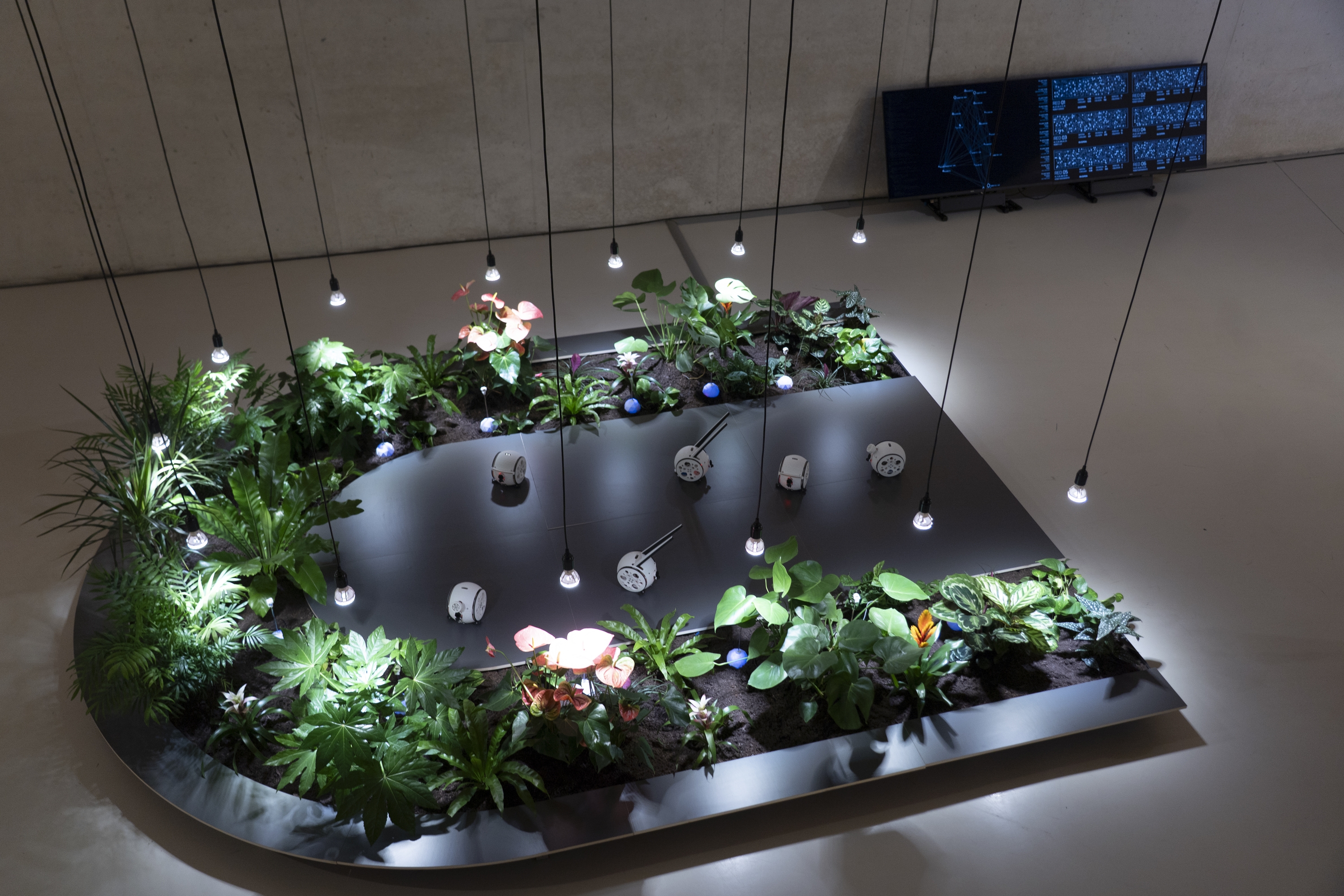 Topaketen dardara artistikoa iraunaraztea Topaketen dardara artistikoa iraunaraztea