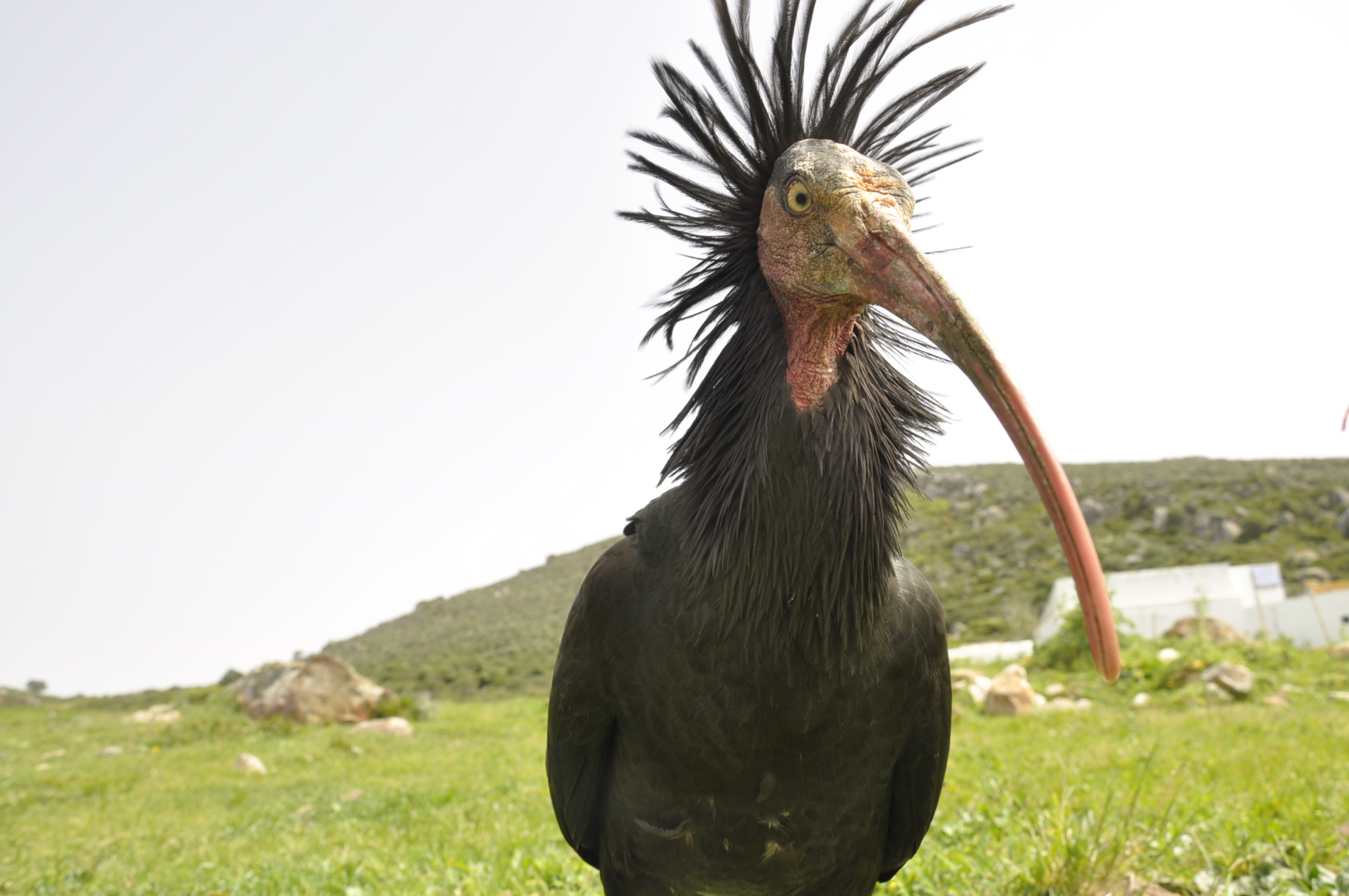 Berbintzanako agure ermitauaren istorioa Berbintzanako agure ermitauaren istorioa