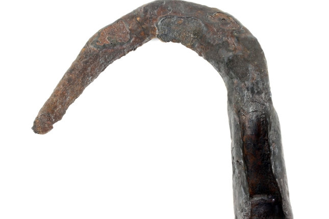 Intxurreko igitaia (M.251) Intxurreko igitaia (M.251)