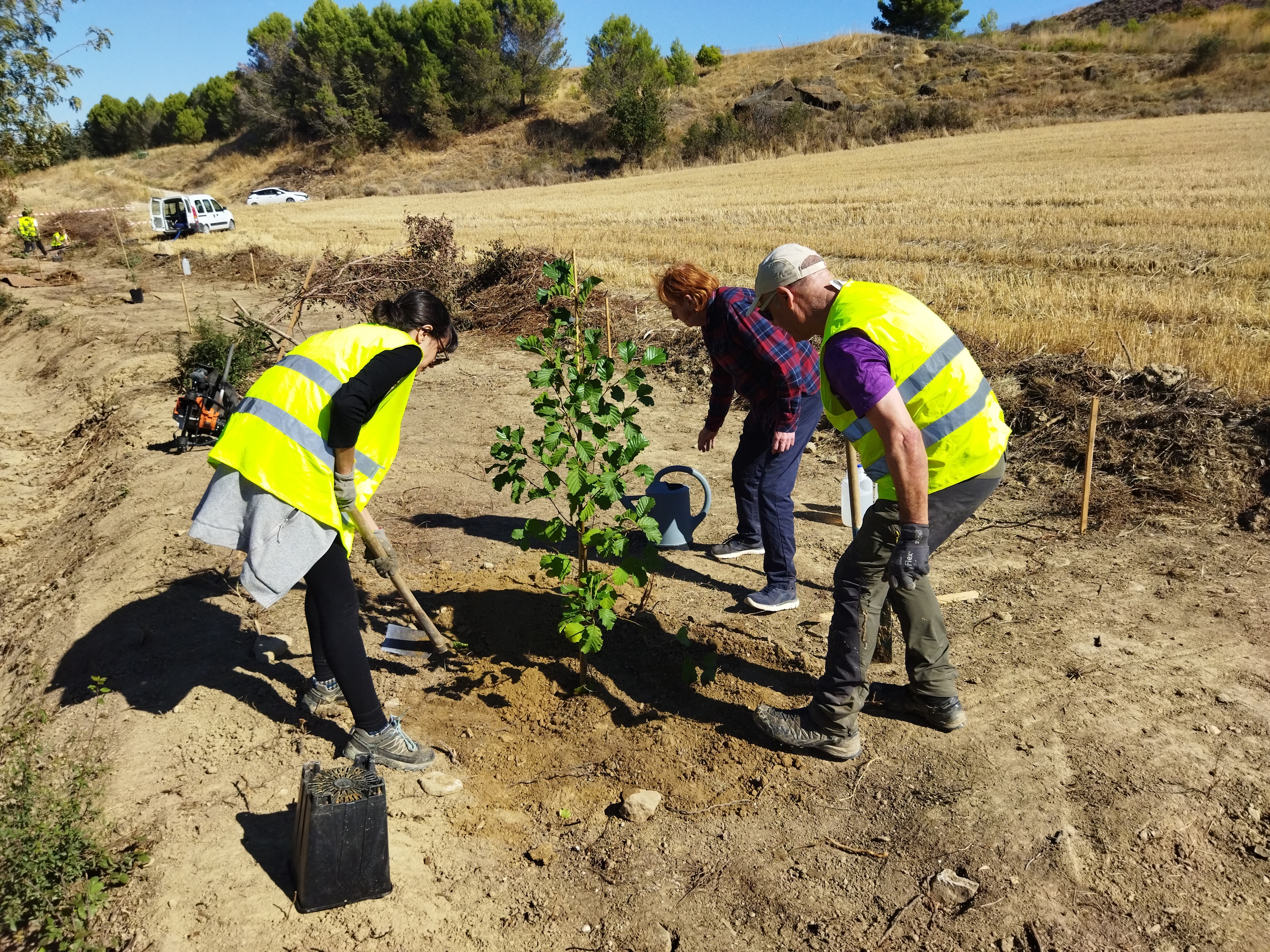 Tafallako Berdesia elkarteko kide batzuk 'Bizitzaren basoa' proiektuko landaketa bat egiten. BERDESIA