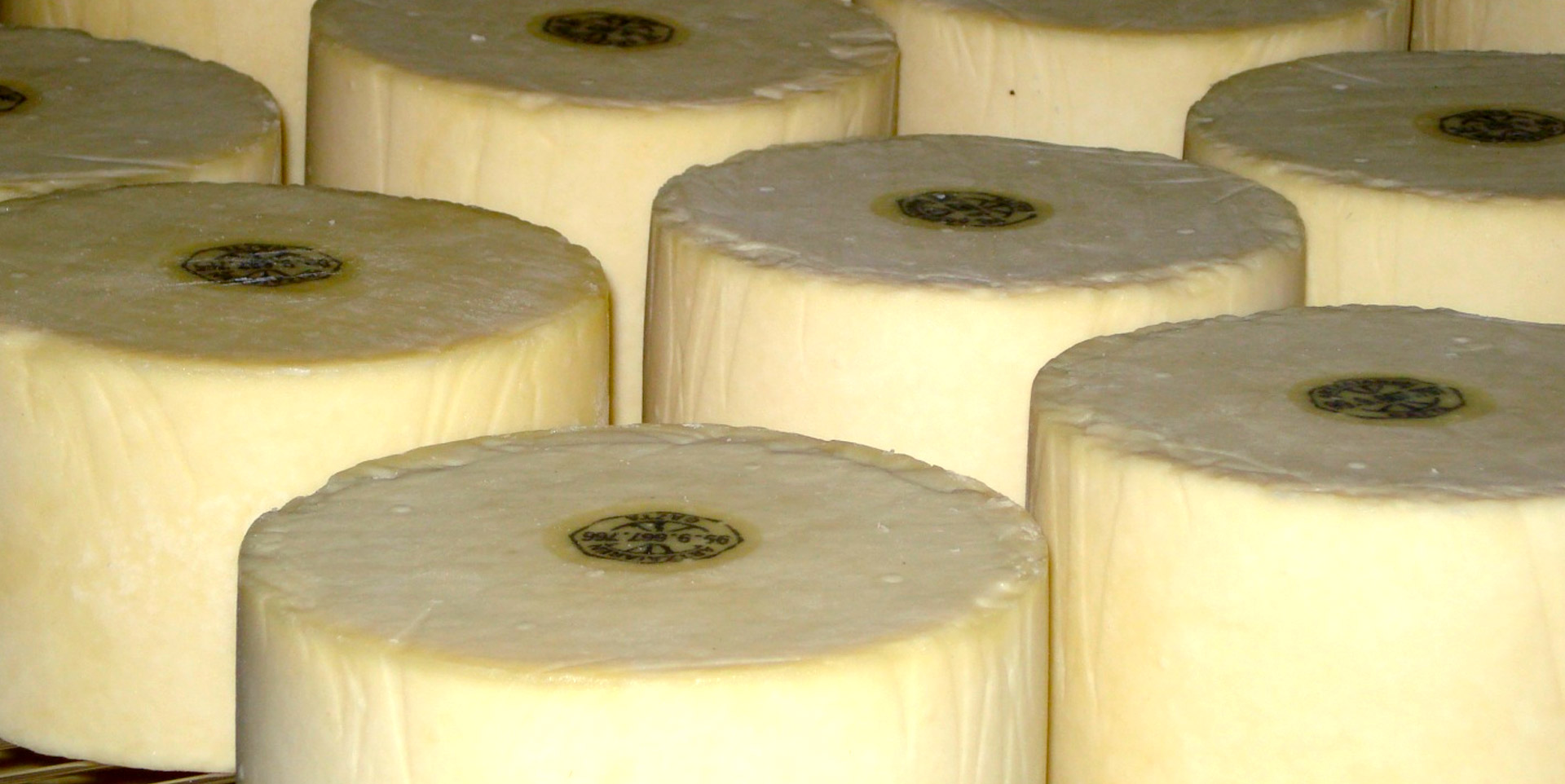 Larreako Gazta gaztandegiaren gaztak. ARTZAI GAZTA