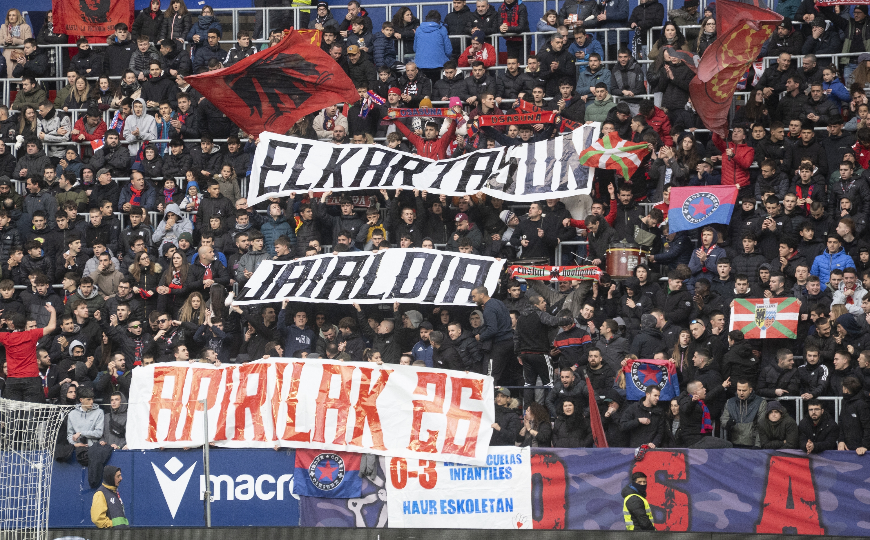 Sadarreko harmaila, partida batean. Jagoba Manterola / FOKU