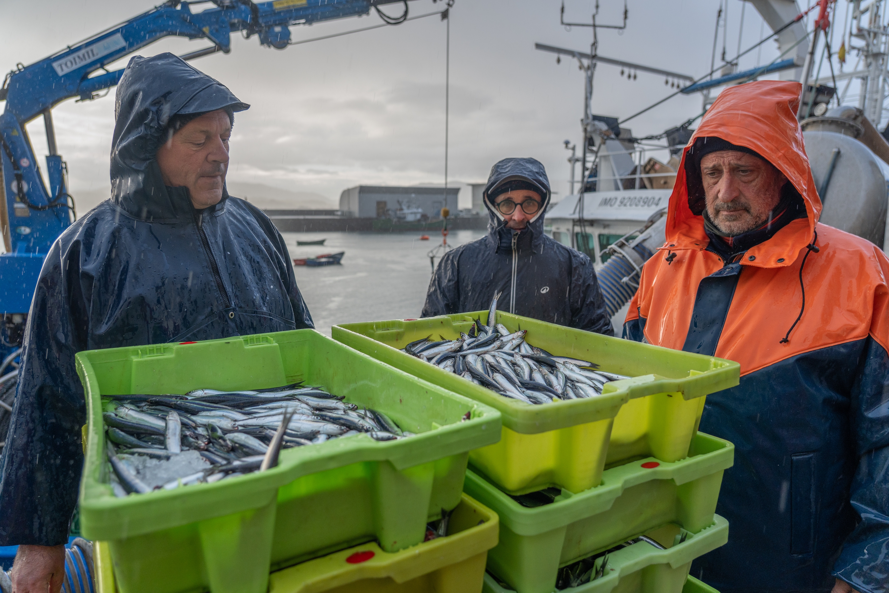 Antxoa deskargatzen Hondarribiako portuan, aurtengo martxoan. ANDONI CANELLADA / FOKU