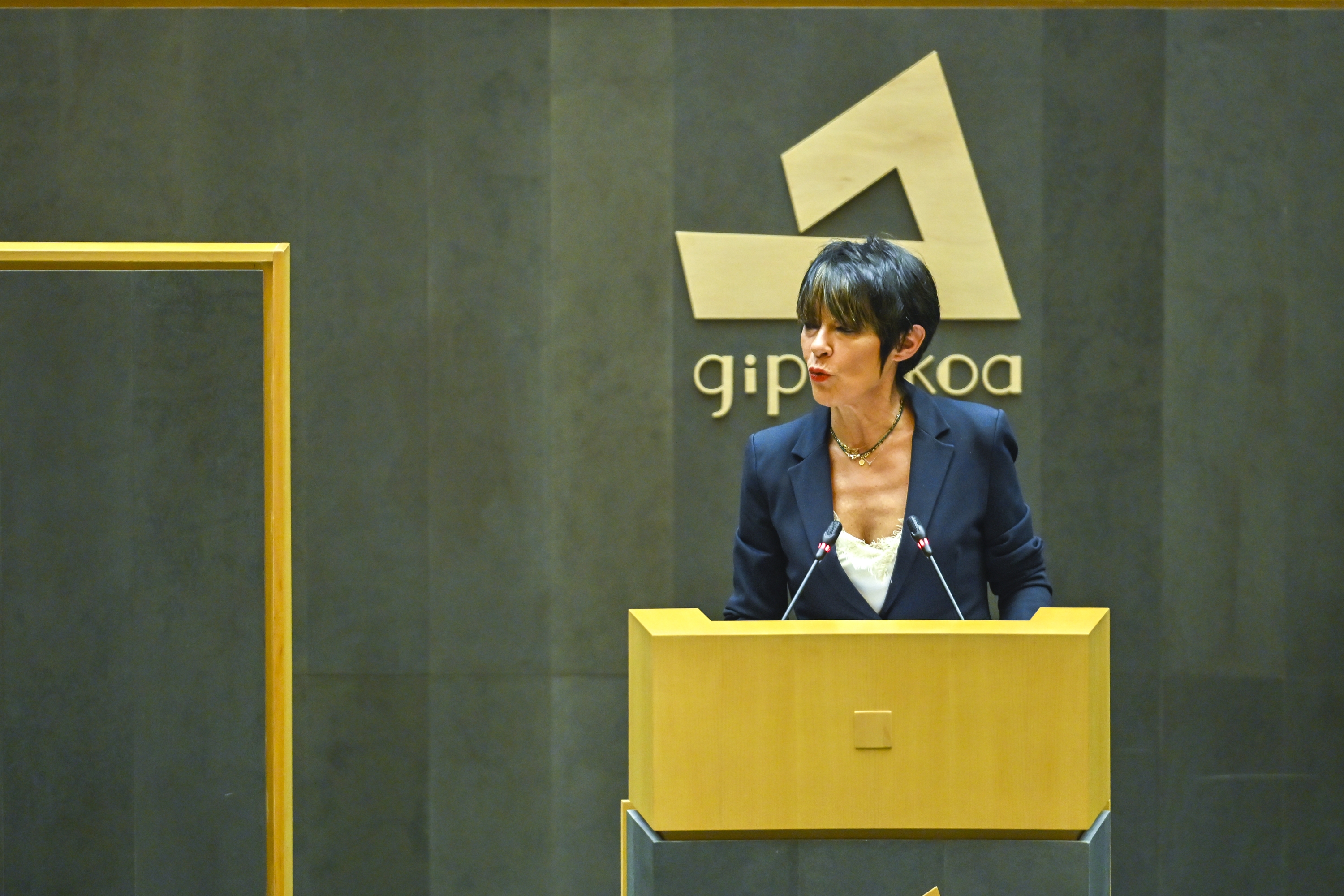 Maddalen Iriarte, EH Bilduko eleduna Gipuzkoako Batzar Nagusietan. GORKA RUBIO / FOKU