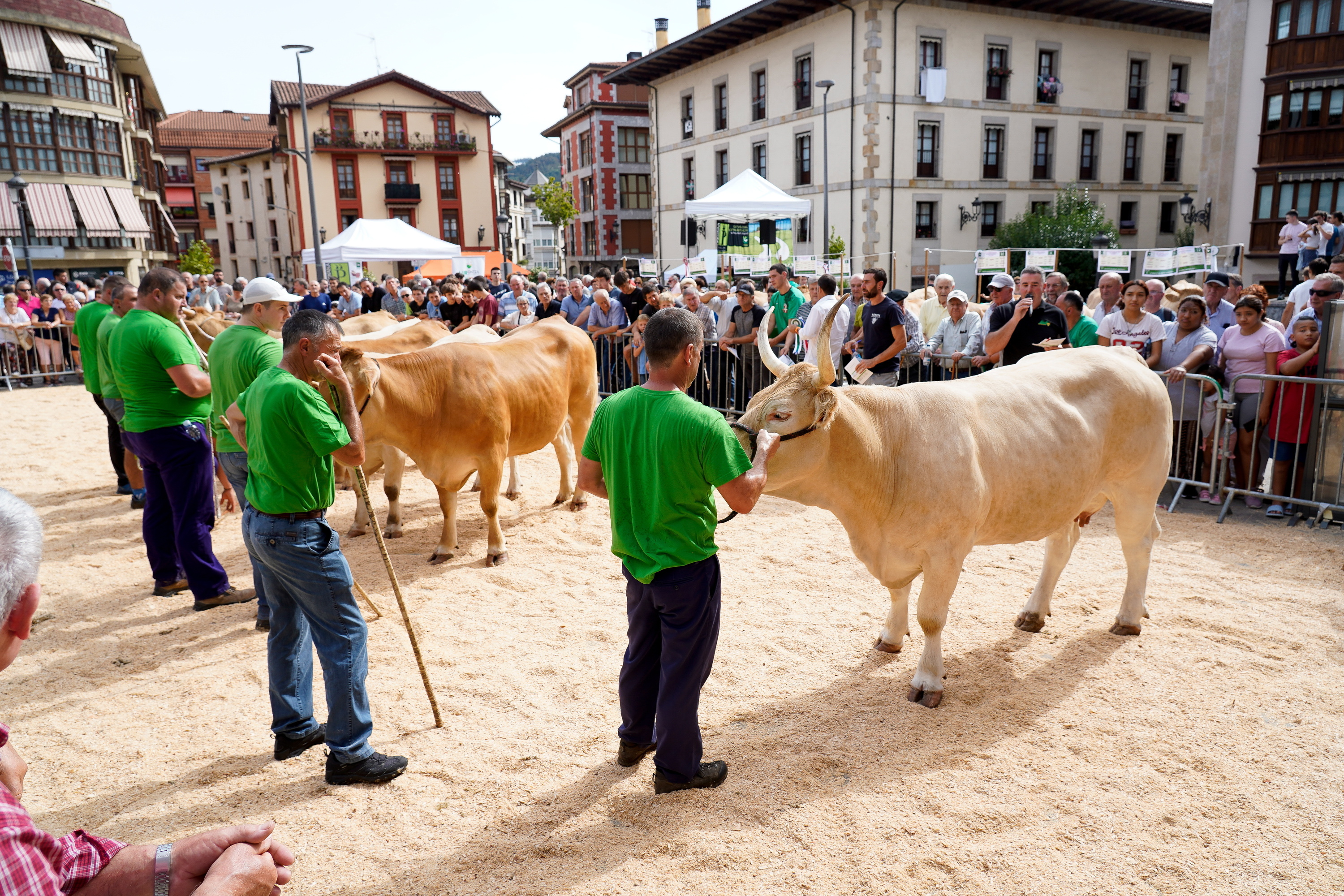 (ID_13153971) (Iñigo Uriz/@FOKU) 2023-09-06, Ordizia.  Ordiziako euskal jaiko azoka berezia: fruta, barazki eta lumagorri...