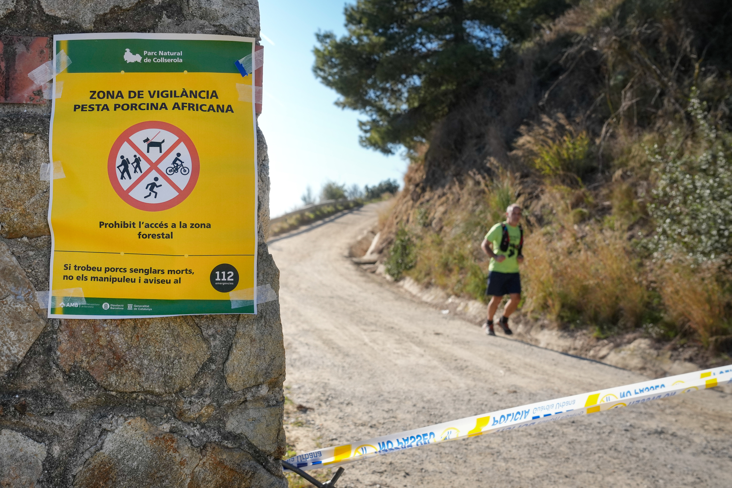 Collserolako basora sartzea debekatzen duen kartel bat, gaur. ENRIC FONTCUBIERTA / EFE