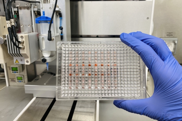 Erreplikak lortzeko plakak, hainbat farmakorekin saiakuntzak egin ahal izateko. CIC BIOMAGUNE