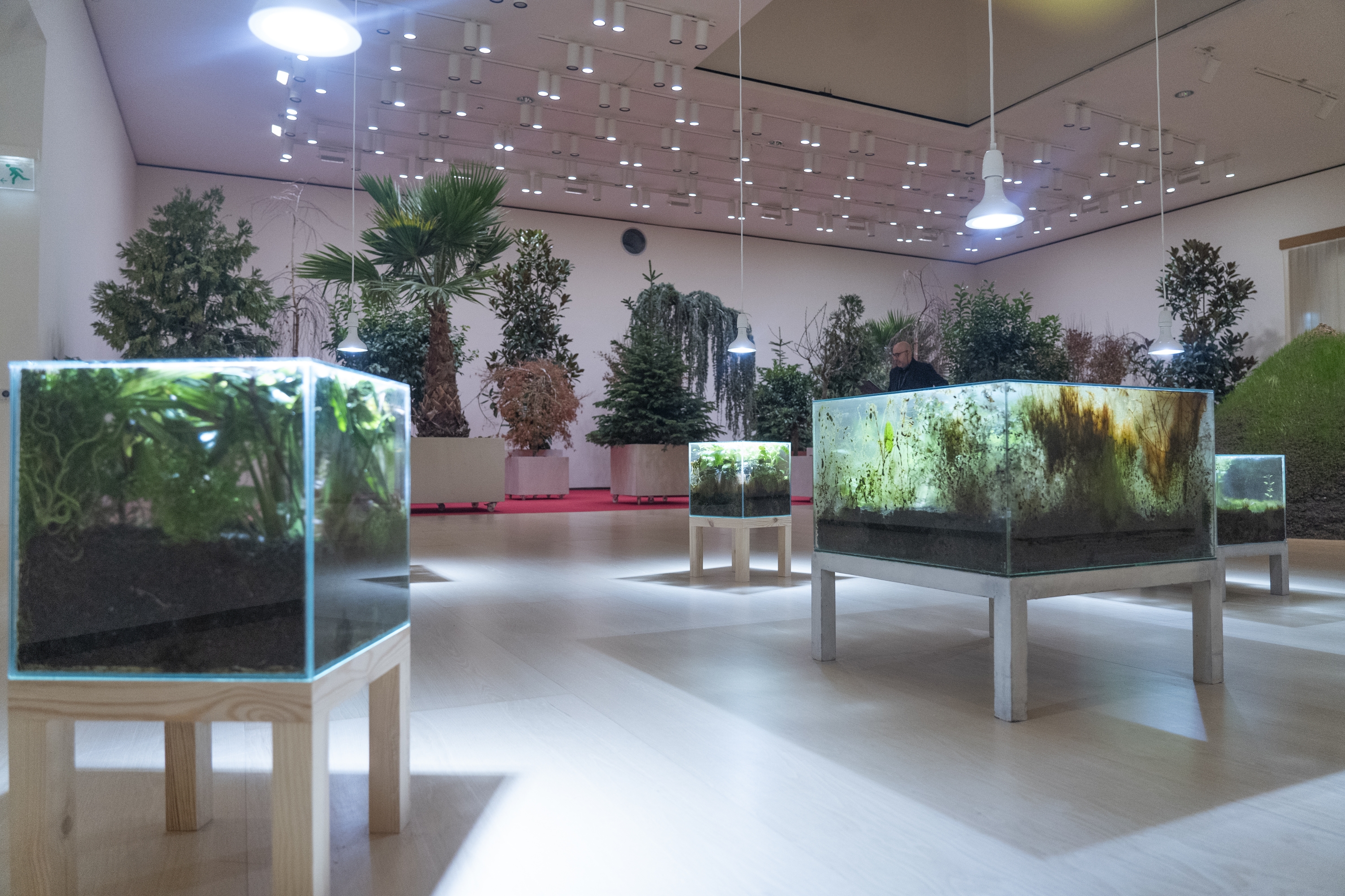 Bilboko Guggenheim museoan jarri duten 'Lurraren arteak' erakusketako irudi bat. MONIKA DEL VALLE / FOKU