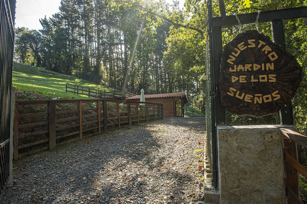 Ametsetako Lorategia, animalientzako hilerria. MONIKA DEL VALLE / FOKU Ametsetako Lorategia, animalientzako hilerria. MONIKA DEL VALLE / FOKU