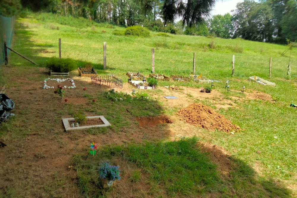 Galdamesko hilerriko hobi batzuk. JOSU GALDAMES Galdamesko hilerriko hobi batzuk. JOSU GALDAMES