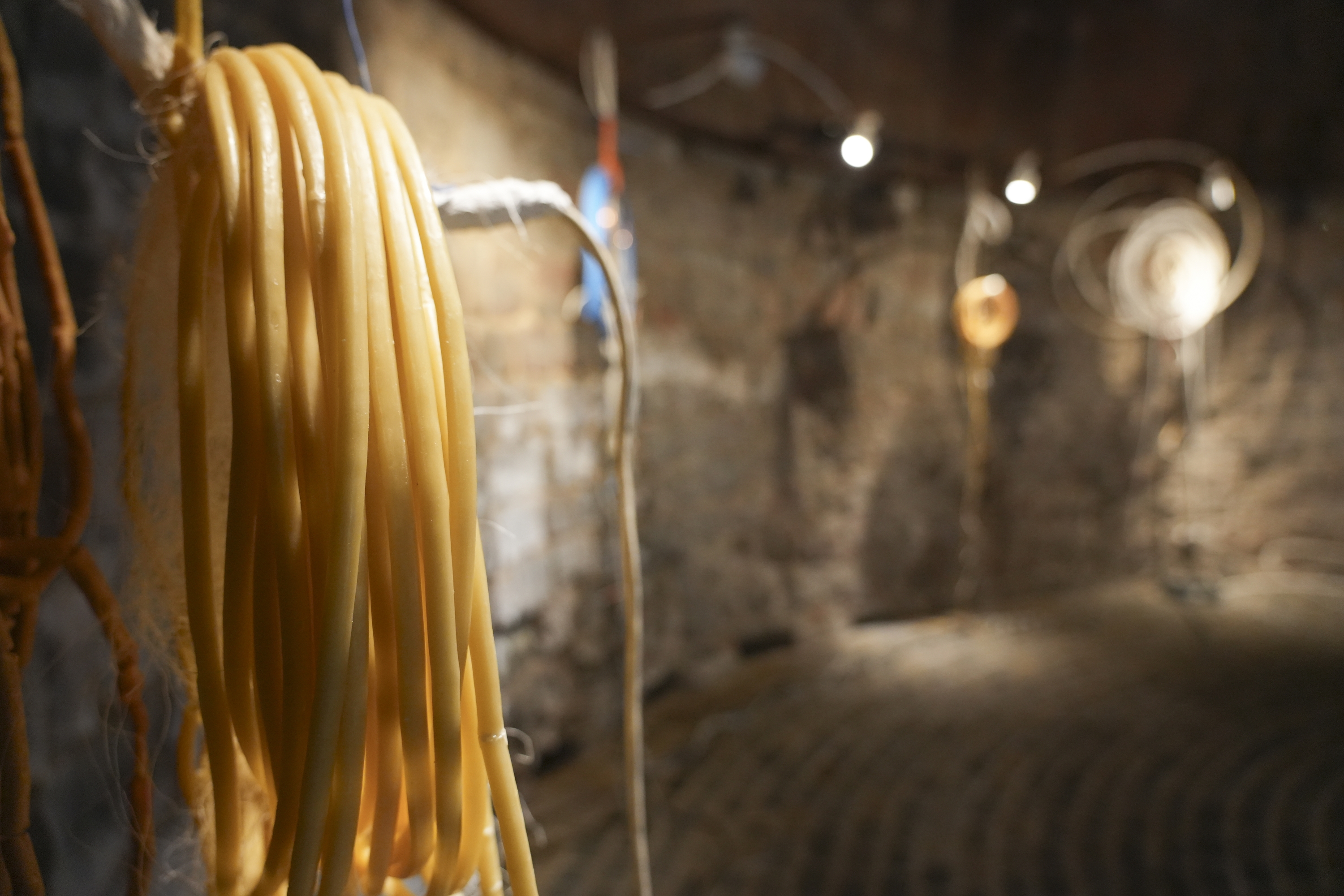 Iruñeko Ziudadelan ikus daitekeen erakusketako irudi bat. JAGOBA MANTEROLA / FOKU