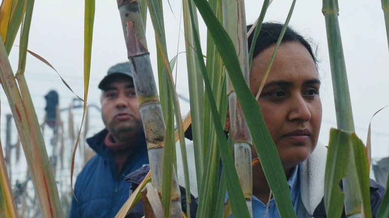 Jose Luis Guerinen 'Historias del buen valle' filma.