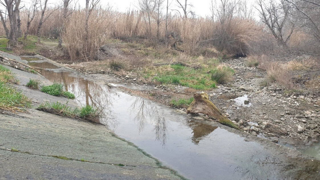 Ekologistak Martxan-ek adierazi du «habitat osoa kolapsatzeko arriskuan» dagoela Alhama ibaian Ekologistak Martxan-ek adierazi du «habitat osoa kolapsatzeko arriskuan» dagoela Alhama ibaian