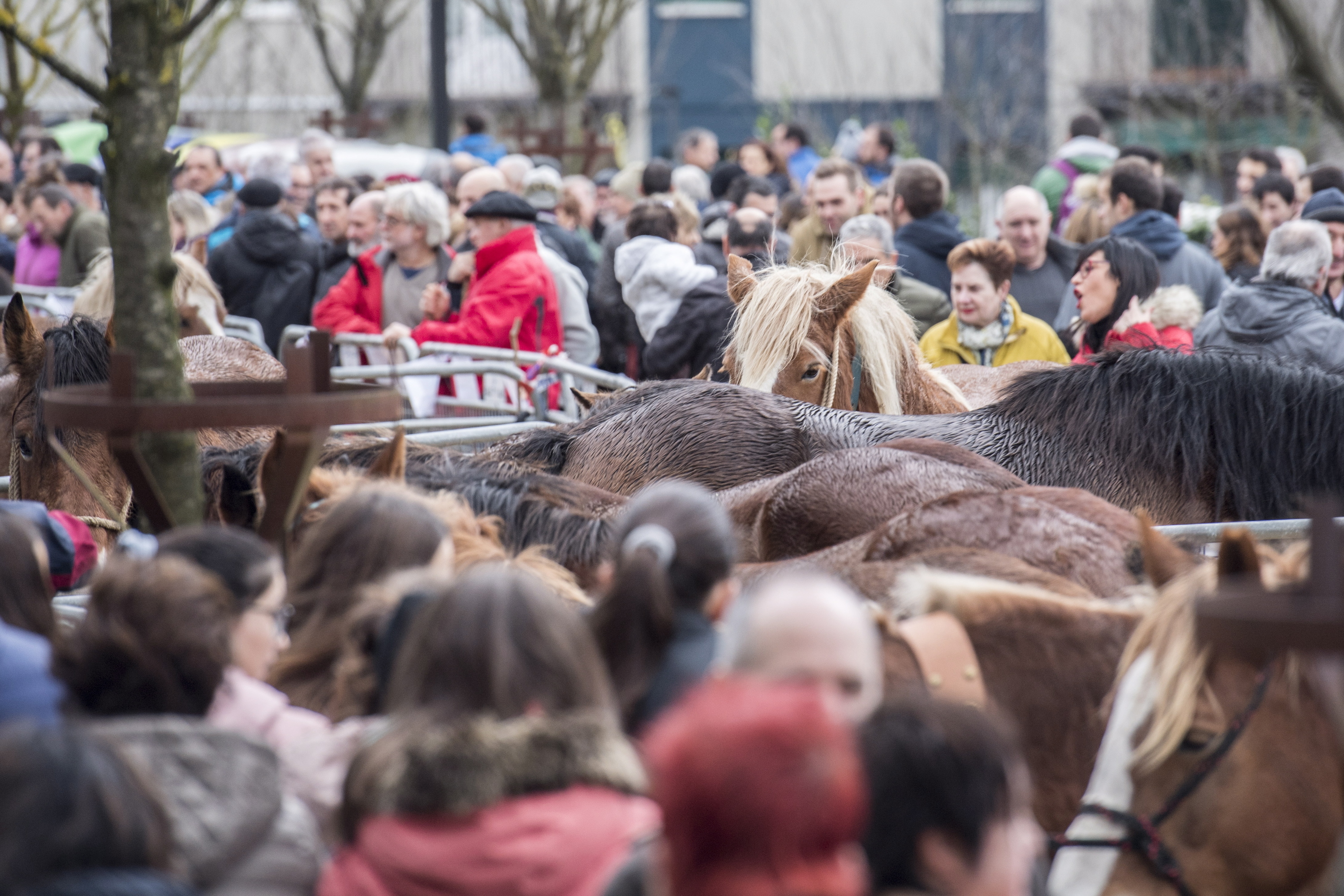 Zumarragako Santa Lutzi azoka, artxiboko irudi batean. GORKA RUBIO / FOKU Zumarragako Santa Lutzi azoka, artxiboko irudi batean. GORKA RUBIO / FOKU