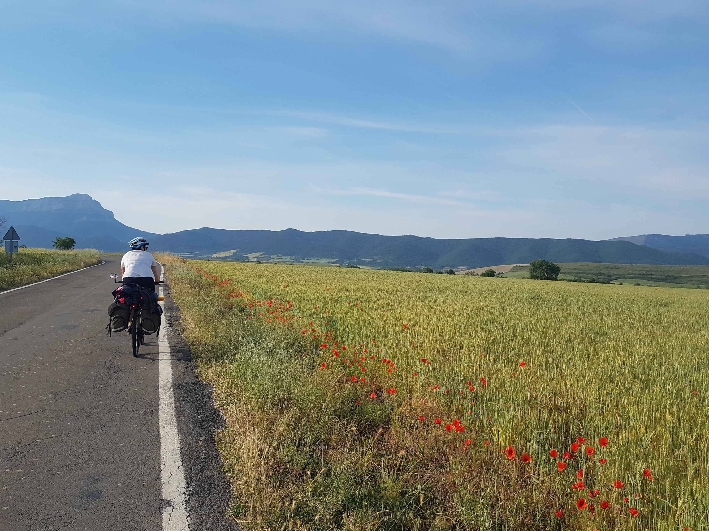 Jakara bidean, mitxoletaz jositako zelaien ondotik. GARAZI ZABALETA URKIOLA-MARTA BARBA GASSO