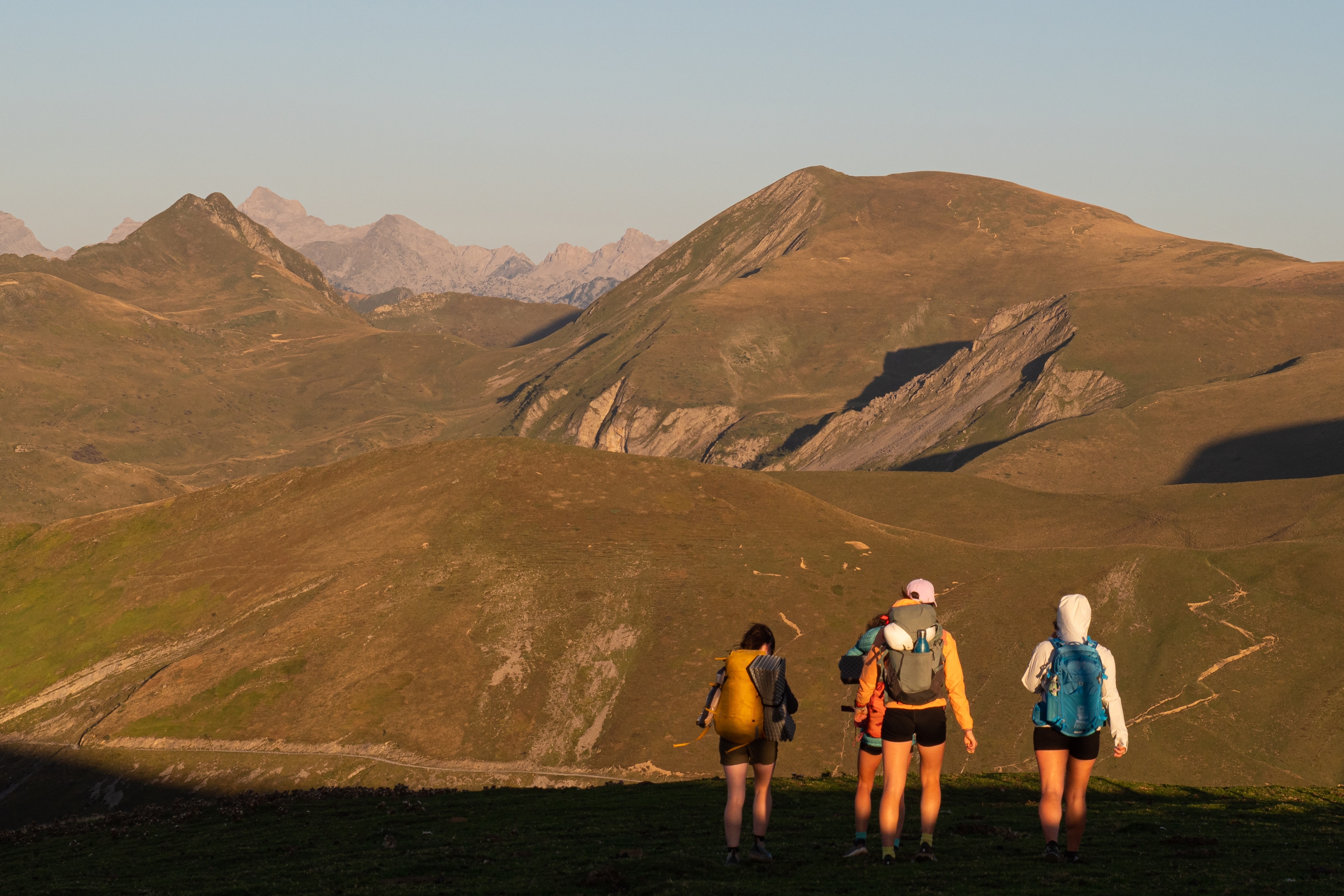 Pirinioak parez pare, eguneko azken argi izpiekin. JOANES BASURTO MERINO