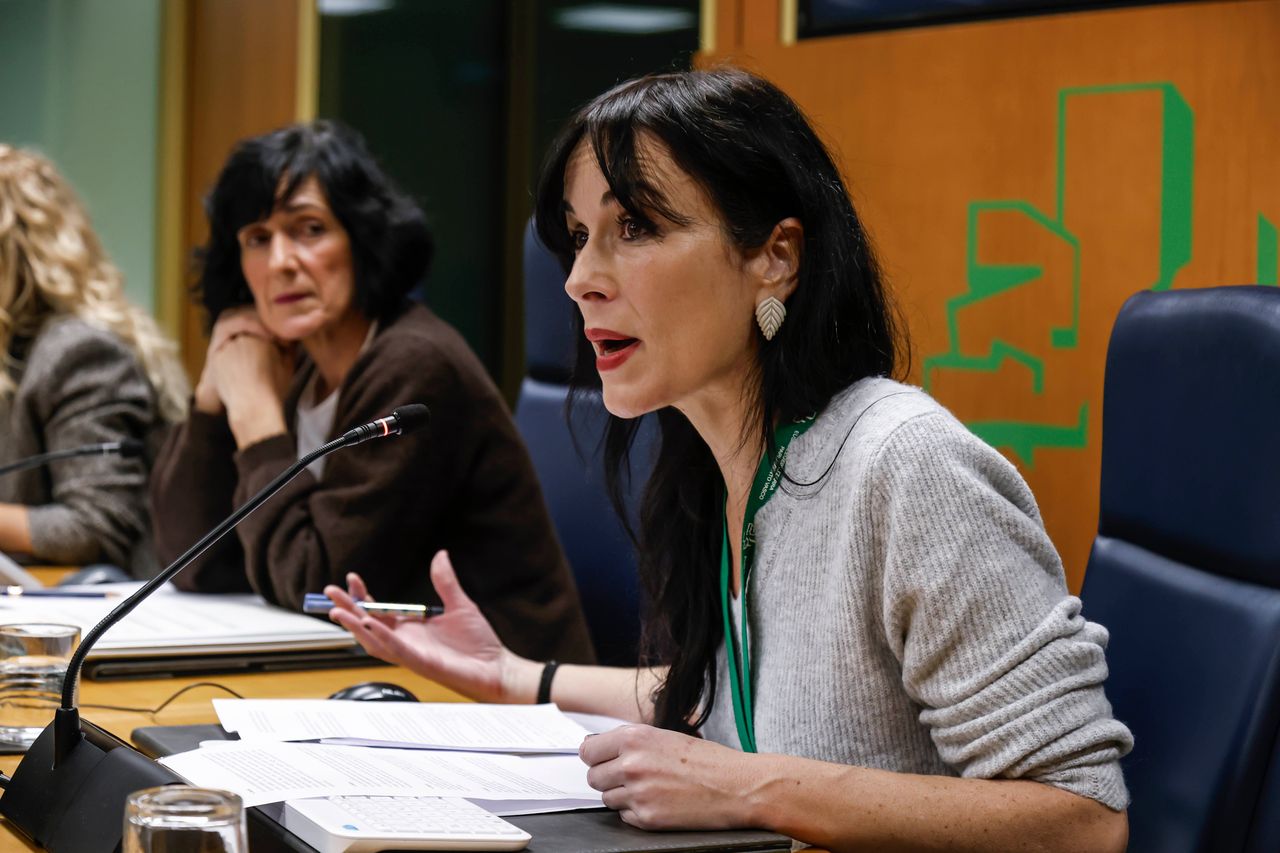 Hizkuntz Eskubideen Behatokiko zuzendari Agurne Gaubeka Eusko Legebiltzarrean hizketan. EUSKO LEGEBILTZARRA