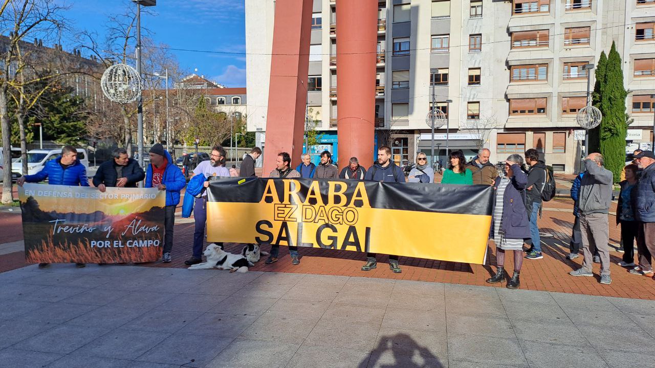 Araba Bizirik plataformaren agerraldia, gaur goizean, Artium parean. ARABA BIZIRIK Araba Bizirik plataformaren agerraldia, gaur goizean, Artium parean. ARABA BIZIRIK