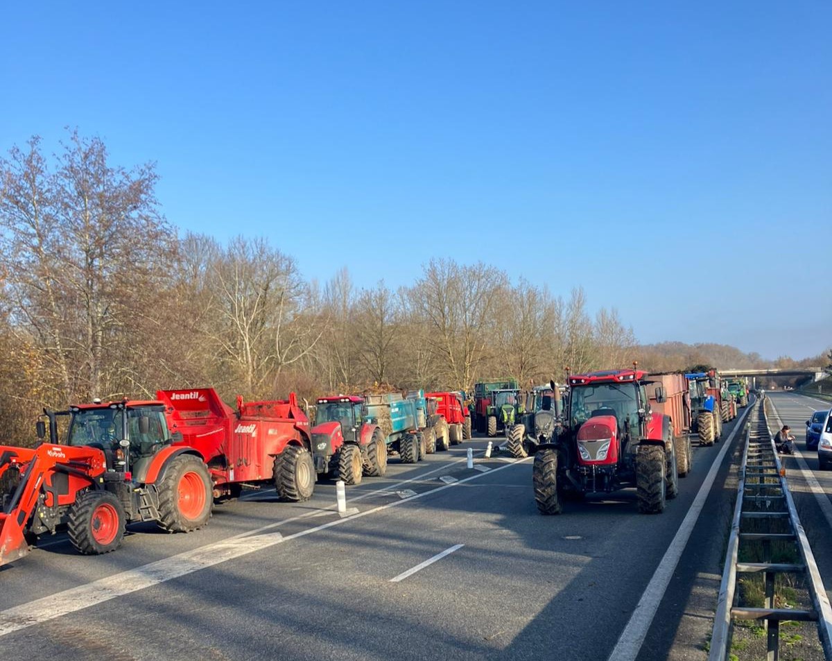 ELBko kideak A64 autobidea blokeatzen, behiak hil behar izatea salatzeko. ELB