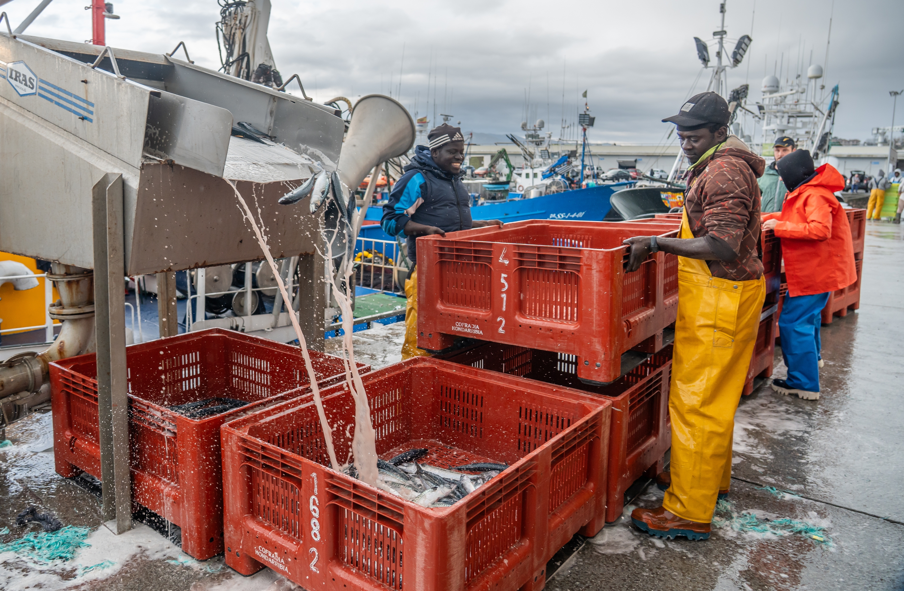 Berdela deskargatzen, joan den martxoan, Hondarribian. ANDONI CANELLADA / FOKU