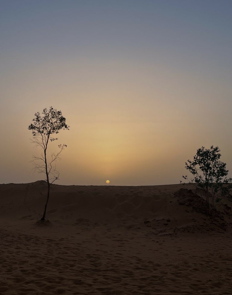 Egunsentia basamortuan. INGE GOENAGA GOROSTIAGA