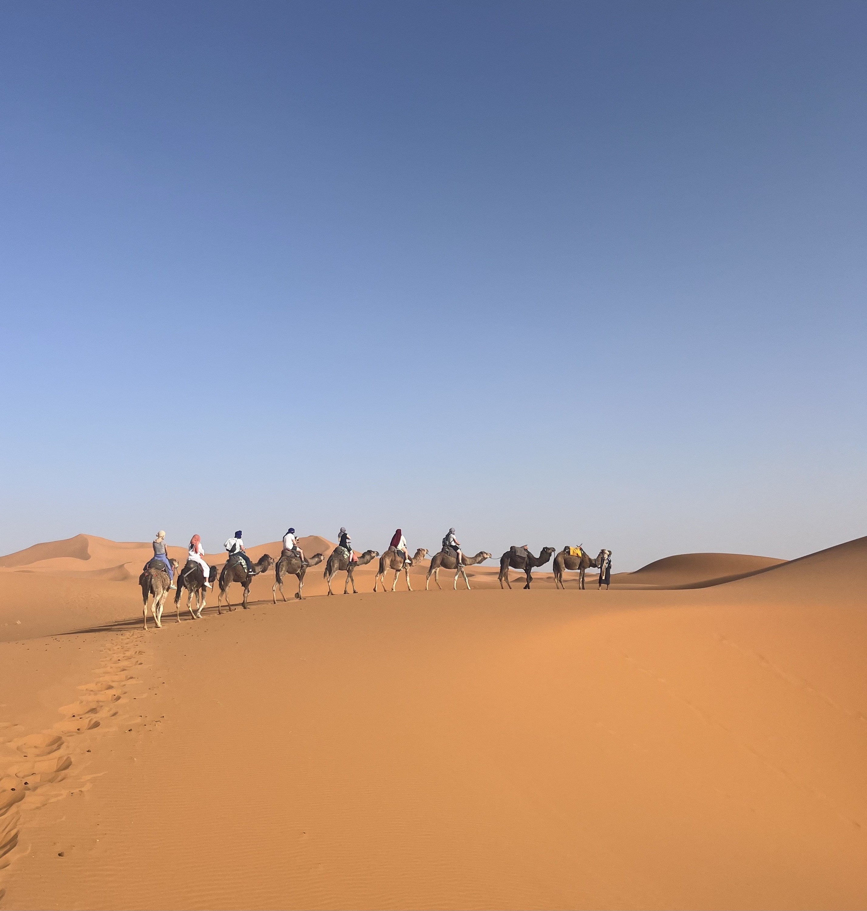 Dromedario gainean, basamortuaren bihotzera bidean. INGE GOENAGA GOROSTIAGA