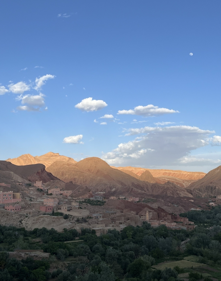 Bidean topatutako parajeak. INGE GOENAGA GOROSTIAGA