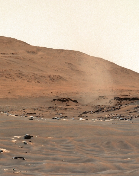 (ID_17658730897115) Hauts zurrunbiloak Marten