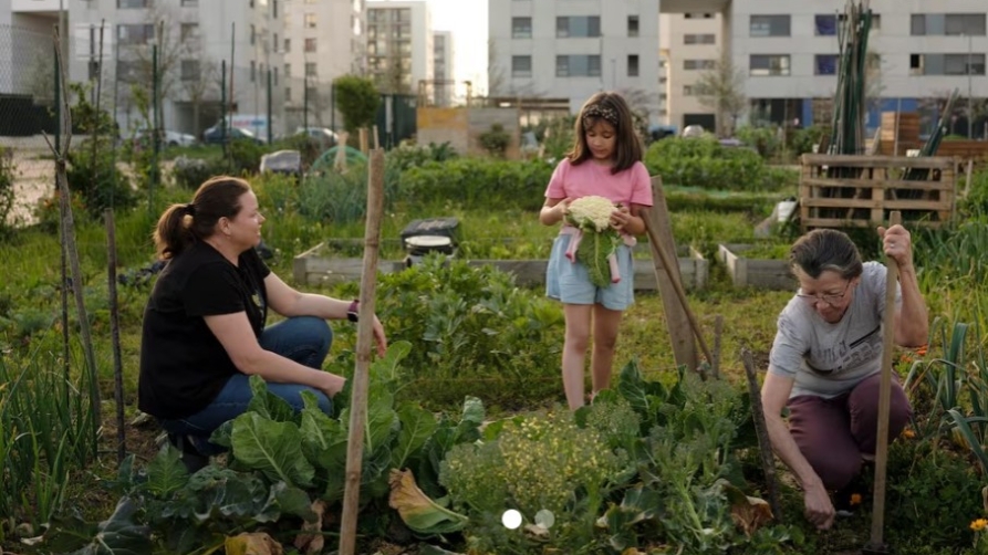 Zabalganako ortuak Zabalganako ortuak