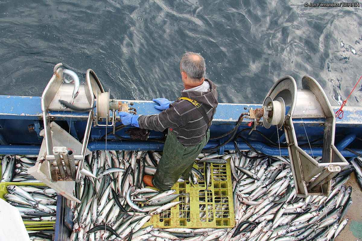 Berdelak, Ondarroako itsasontzi batean. BERRIA