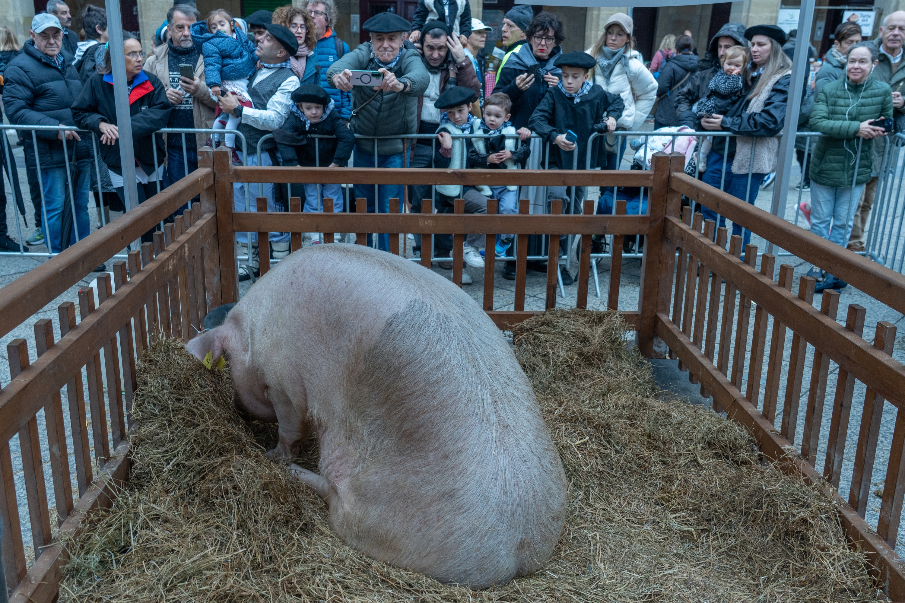 San Tomas azoka Donostian. ANDONI CANELLADA / FOKU